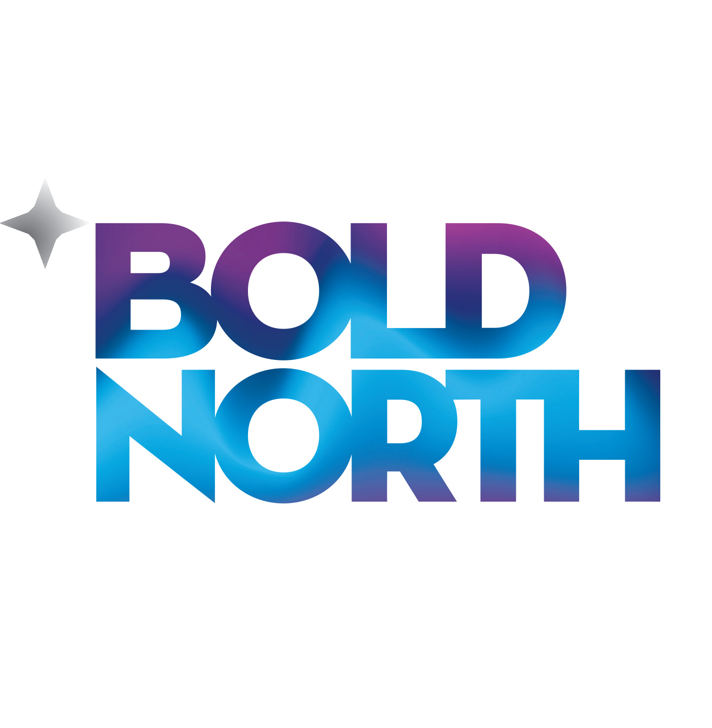 Bold_North_Logo