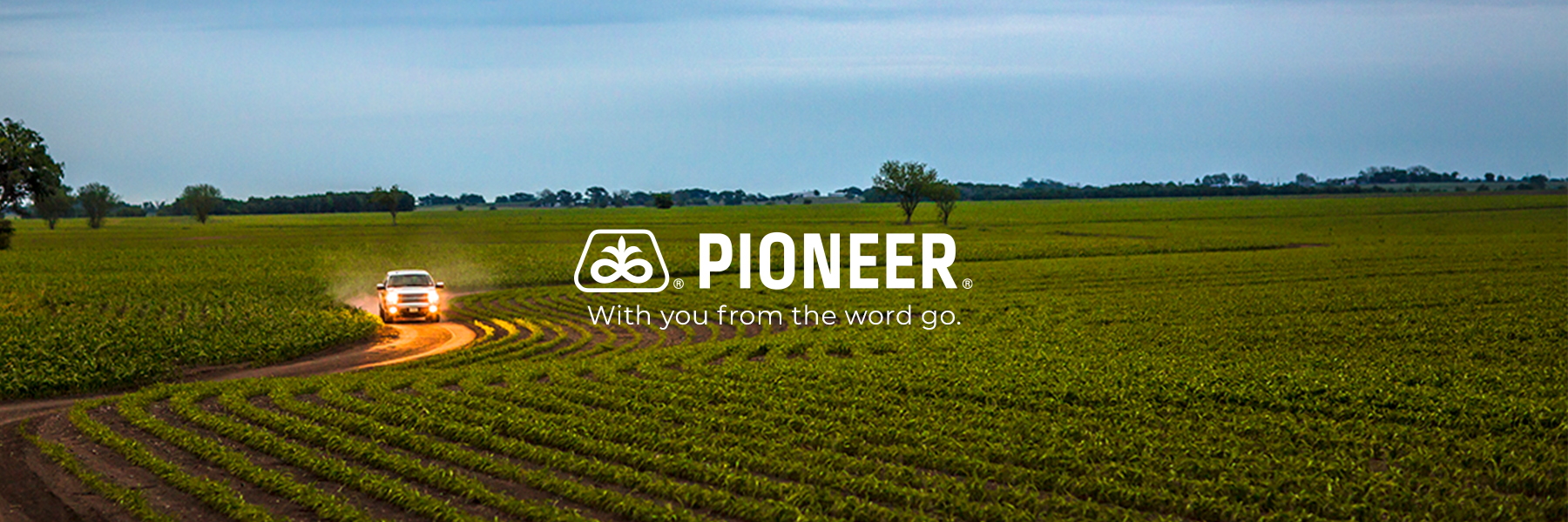 Project_top-header_PIO