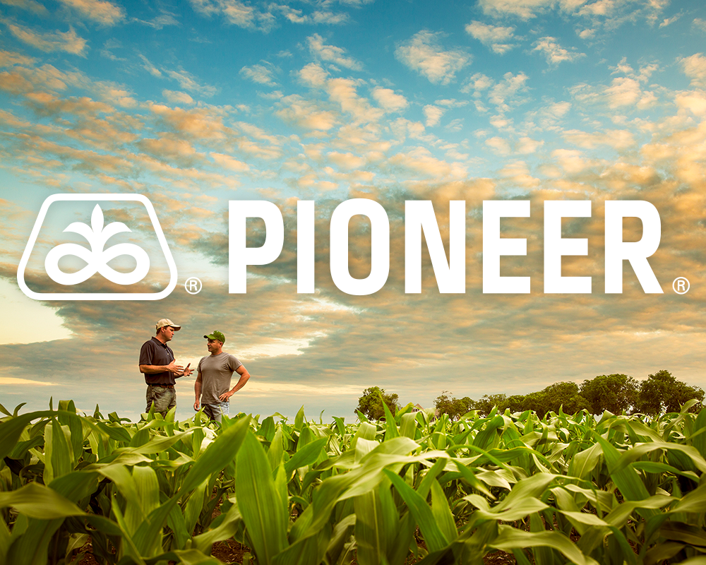 Pioneer Brand