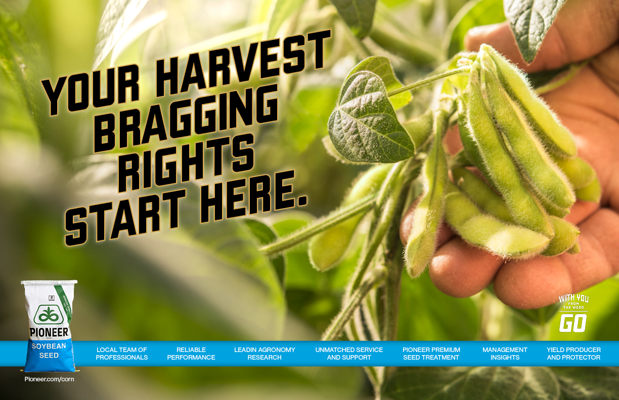 Pioneer_spreads_0311