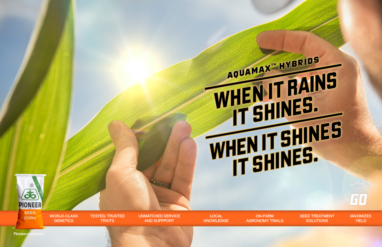 Pioneer_spreads_035-1