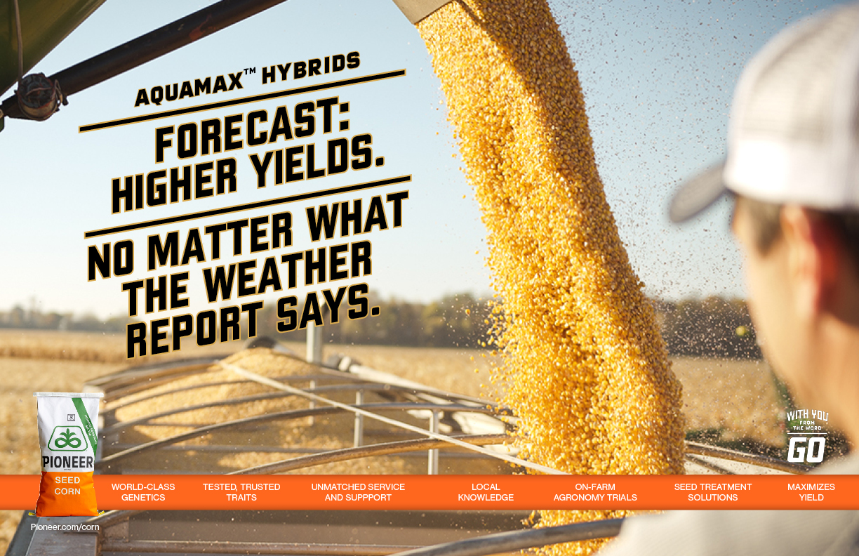 Pioneer_spreads_036-1