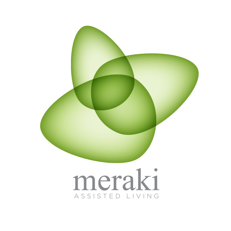 Meraki_Logo_LG_Gray-text